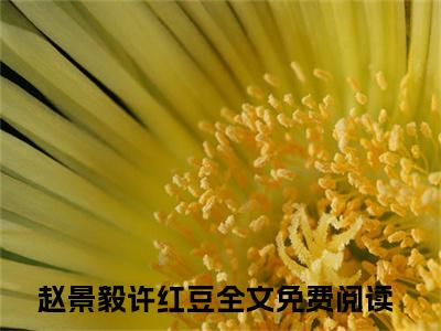 赵景毅许红豆（赵景毅许红豆）抖音热推小说全集无删减，赵景毅许红豆完整章节阅读