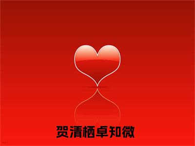 贺清栖卓知微（贺清栖卓知微）全文免费阅读无弹窗大结局-贺清栖卓知微全文未删减阅读（贺清栖卓知微）