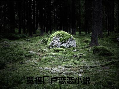 贺祺沄卢恋恋(贺祺沄卢恋恋)全文在线贺祺沄卢恋恋读无弹窗大结局_贺祺沄卢恋恋在线读无弹窗最新章节列表_笔趣阁