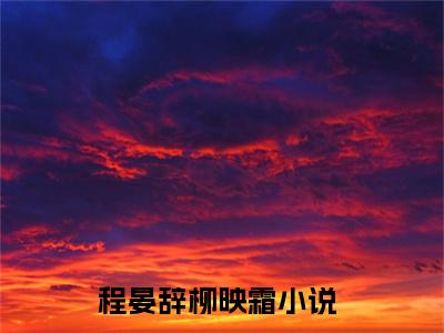 程晏辞柳映霜小说全文免费阅读，程晏辞柳映霜最新章节