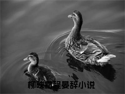 柳映霜程晏辞（柳映霜程晏辞全文免费）小说全文免费阅读无弹窗大结局_（柳映霜程晏辞）最新章节列表（柳映霜程晏辞后续）