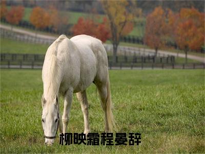 柳映霜程晏辞小说小说今日阅读更新-（柳映霜程晏辞小说）全文免费阅读-柳映霜程晏辞小说