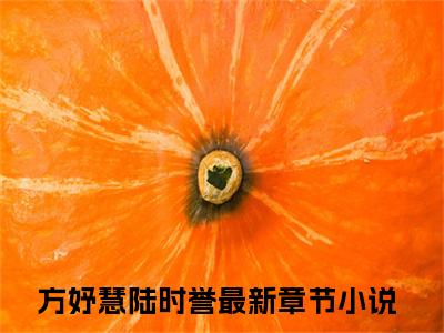 （方妤慧陆时誉）是什么小说_主角是（方妤慧陆时誉）的小说（方妤慧陆时誉）最新章节列表_笔趣阁
