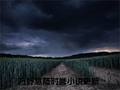 方妤慧陆时誉 全文免费阅读无弹窗大结局-方妤慧陆时誉全文无弹窗免费阅读大结局
