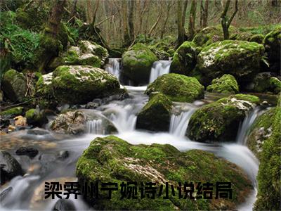 梁霁州宁婉诗的小说(梁霁州宁婉诗)最新章节全文免费阅读_笔趣阁