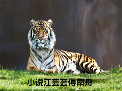 江芸芸傅南舟（江芸芸傅南舟小说）小说全文免费阅读无弹窗大结局_（江芸芸傅南舟）江芸芸傅南舟最新章节列表_笔趣阁