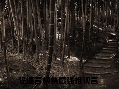 程谨言柳桑愿小说大结局免费阅读-精彩小说（程谨言柳桑愿）