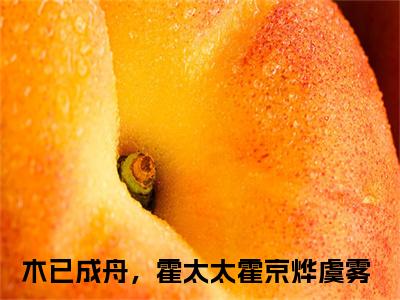木已成舟，霍太太（霍京烨虞雾）全文免费阅读无弹窗大结局_（木已成舟，霍太太）霍京烨虞雾最新章节列表_笔趣阁（霍京烨虞雾）