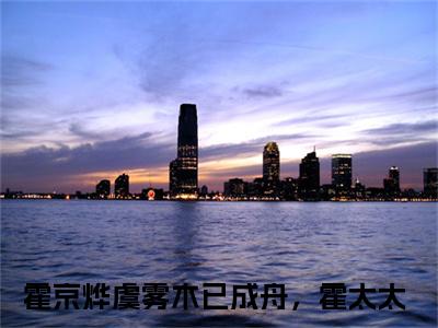 木已成舟，霍太太新书热荐免费小说霍京烨虞雾-小说霍京烨虞雾大结局