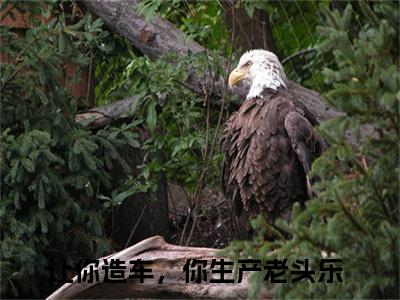 秦浩（让你造车，你生产老头乐）无弹窗小说免费阅读_秦浩最新章节免费阅读_笔趣阁