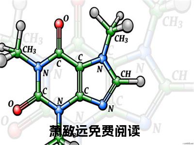 神豪：直播获得透视，逍遥都市（萧致远）完结版小说-神豪：直播获得透视，逍遥都市小说全文免费阅读笔趣阁