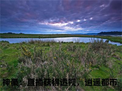 神豪：直播获得透视，逍遥都市（神豪：直播获得透视，逍遥都市）全文免费阅读无弹窗大结局_萧致远:神豪：直播获得透视，逍遥都市最新章节列表_笔趣阁（神豪：直播获得透视，逍遥都市）