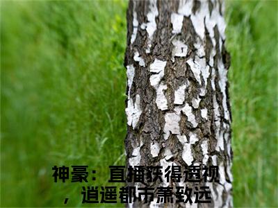 萧致远（神豪：直播获得透视，逍遥都市）全文免费阅读无弹窗完整版，(萧致远)免费阅读全文最新章节列表_笔趣阁
