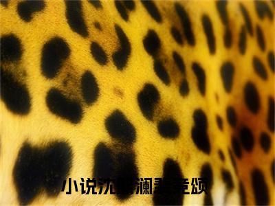 沈熙澜裴竞颂全文免费阅读小说今日已更新最新章节_沈熙澜裴竞颂全文免费阅读最新章节列表