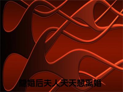 楚翊尘洛冉兮（隐婚后夫人天天想离婚）全文免费阅读无弹窗大结局-隐婚后夫人天天想离婚(楚翊尘洛冉兮)小说全文免费阅读最新章节列表