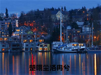 隐婚后夫人天天想离婚小说（楚翊尘洛冉兮）全文完整版免费阅读-楚翊尘洛冉兮全文完整版免费阅读（楚翊尘洛冉兮）