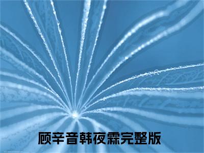 顾辛音韩夜霖言情小说免费观看-小说(顾辛音韩夜霖)最新章节阅读在线赏析