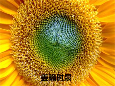 姜瑜时泉全文免费阅读无弹窗大结局_姜瑜时泉免费阅读最新章节列表_笔趣阁（姜瑜时泉）