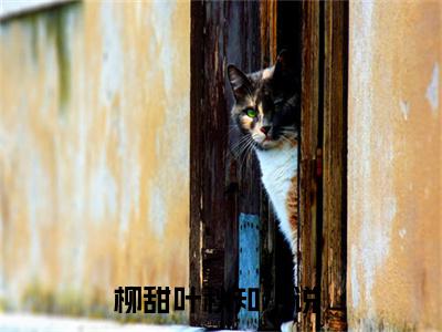 柳甜叶秋知（柳甜叶秋知）全文免费阅读无弹窗大结局_（柳甜叶秋知）柳甜叶秋知全文最新章节列表_笔趣阁（柳甜叶秋知）