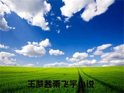 王梦茜秦飞宇小说（王梦茜秦飞宇）全文免费阅读无弹窗大结局_王梦茜秦飞宇小说最新章节列表_笔趣阁（王梦茜秦飞宇）