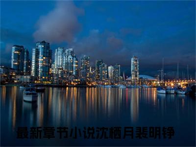 沈栖月裴明铮（沈栖月裴明铮）全文免费阅读无弹窗大结局_沈栖月裴明铮最新章节列表_笔趣阁（沈栖月裴明铮）
