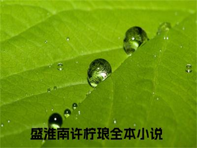 (热推新书)盛淮南许柠琅小说在线分享-（盛淮南许柠琅）小说全文免费阅读_盛淮南许柠琅最新章节列表_笔趣阁