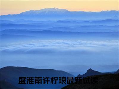 盛淮南许柠琅全文免费阅读无弹窗大结局-（盛淮南许柠琅）免费阅读无弹窗最新章节列表-笔趣阁