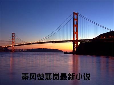秦风楚襄岚小说全文免费阅读，秦风楚襄岚完整版