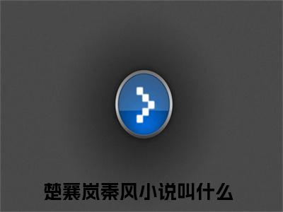 楚襄岚秦风热门小说 全文免费阅读无弹窗大结局-楚襄岚秦风全文无弹窗免费阅读大结局