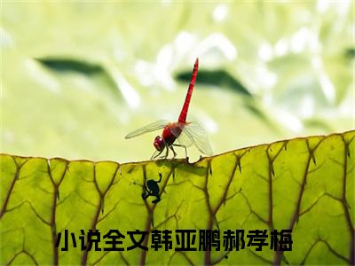 韩亚鹏郝孝梅全文免费阅读_韩亚鹏郝孝梅无弹窗最新章节
