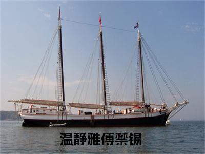 温静雅傅禁锡（为时不晚小说全文）在线阅读-温静雅傅禁锡全文免费阅读无弹窗大结局