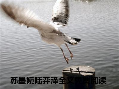苏墨婉陆弈泽的书名全文免费最后一章在线阅读 苏墨婉陆弈泽全文小说完整版