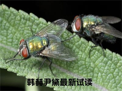 韩赫尹黛（韩赫尹黛）小说全文免费阅读正版无弹窗_(韩赫尹黛)最新章节列表