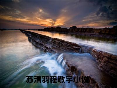 苏清羽程敬宇晚间小说全本资源-苏清羽程敬宇小说阅读在线苏清羽程敬宇