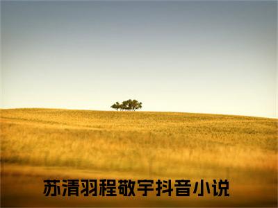 苏清羽程敬宇（苏清羽程敬宇）全文免费阅读无弹窗_苏清羽程敬宇小说免费阅读_笔趣阁