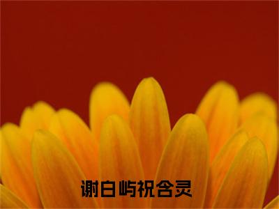 谢白屿祝含灵（谢白屿祝含灵）全文免费阅读无弹窗大结局_（谢白屿祝含灵）谢白屿祝含灵最新章节列表_笔趣阁（谢白屿祝含灵）
