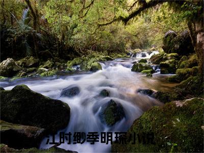 江时缈季明琛全文免费阅读无弹窗大结局_(江时缈季明琛)免费阅读全文无弹窗_