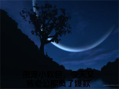 洛宝傅清宴（团宠小软包，今天又被老公欺负了）全文免费阅读大结局_洛宝傅清宴最新章节列表_笔趣阁