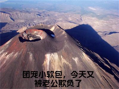 团宠小软包，今天又被老公欺负了全文免费阅读_团宠小软包，今天又被老公欺负了（洛宝傅清宴免费阅读无弹窗）洛宝傅清宴最新章节列表笔趣阁