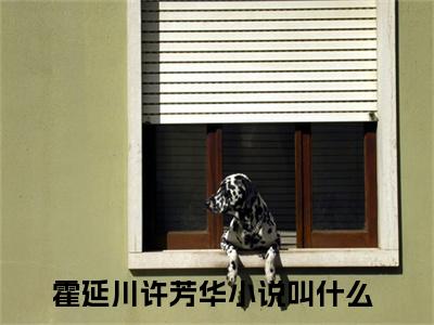 霍延川许芳华全文免费阅读全文免费阅读无弹窗大结局_霍延川许芳华全文免费阅读_笔趣阁