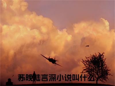 苏晚陆言深小说（苏晚陆言深)全文免费阅读无弹窗大结局_苏晚陆言深（苏晚陆言深）完整版最新阅读_笔趣阁（苏晚陆言深）