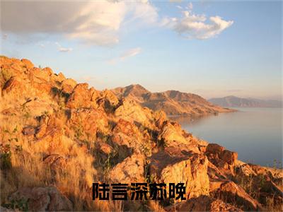 陆言深苏晚小说(陆言深苏晚)_全章节小说完整版阅读（陆言深苏晚）