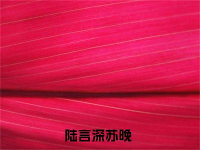 陆言深苏晚（陆言深苏晚）全文免费阅读无弹窗大结局_陆言深苏晚最新章节列表_