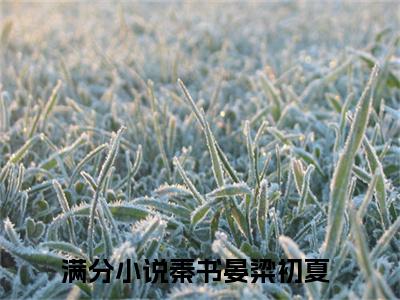 秦书晏粱初夏全文免费阅读 秦书晏粱初夏章节免费阅读