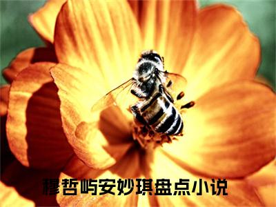 穆哲屿安妙琪榜单小说全文免费阅读无弹窗大结局-穆哲屿安妙琪全文在线阅读
