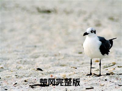 楚风（开局散仙修为，召唤大乘期护卫）全文免费阅读_楚风最新章节列表言情小说在线阅读