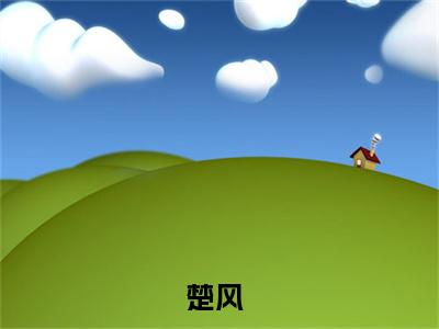 小说(开局散仙修为，召唤大乘期护卫)全文免费阅读_(楚风)小说全文免费阅读