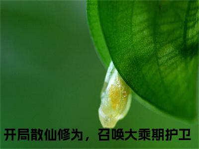 开局散仙修为，召唤大乘期护卫全文免费阅读_（楚风免费阅读无弹窗）开局散仙修为，召唤大乘期护卫最新章节列表笔趣阁（楚风）