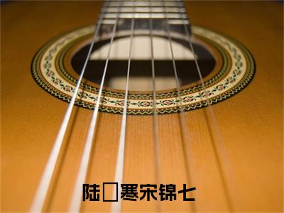陆璟寒宋锦七抖音陆璟寒宋锦七小说阅读完结版-陆璟寒宋锦七小说全文免费阅读