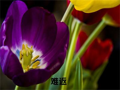 难返免费阅读无弹窗最新章节列表-（慕欢颜顾时晏）全文免费阅读大结局笔趣阁（慕欢颜顾时晏）